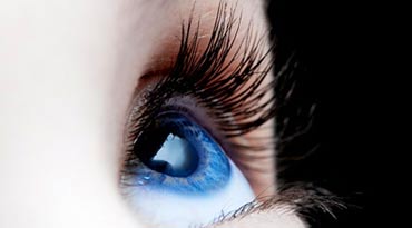 Ocular Disease Management at Christopherson Eye Clinic